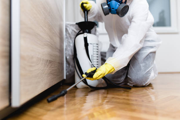 Insect Control in Albany, OR