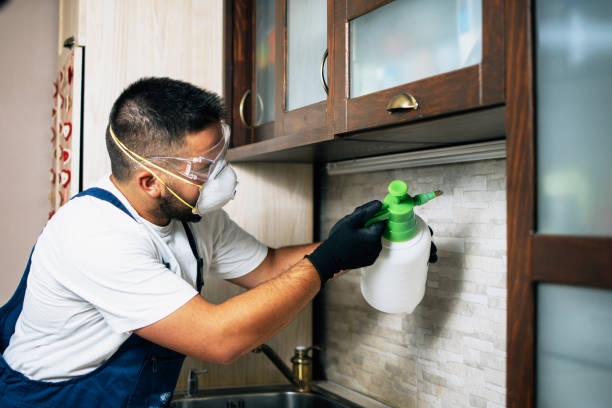 Best Insect Control  in Albany, OR