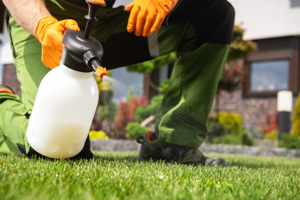 Best Cockroach Control Services  in Albany, OR