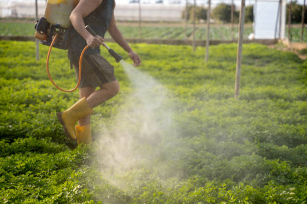 Best Insect Control  in Albany, OR
