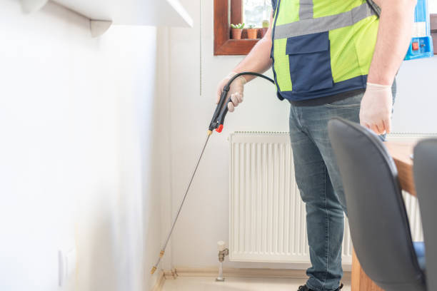 Best Termite Control Services  in Albany, OR