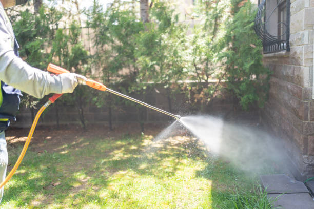 Best Rodent Control Near Me  in Albany, OR