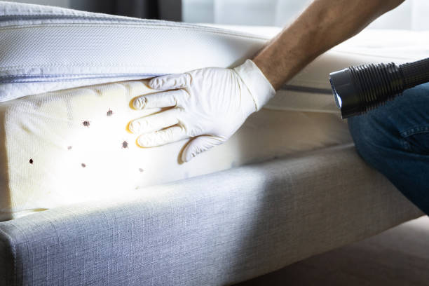 Best Pest Control Treatment  in Albany, OR